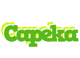 Capeka picnic logo
