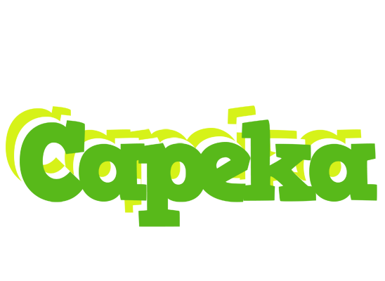 Capeka picnic logo