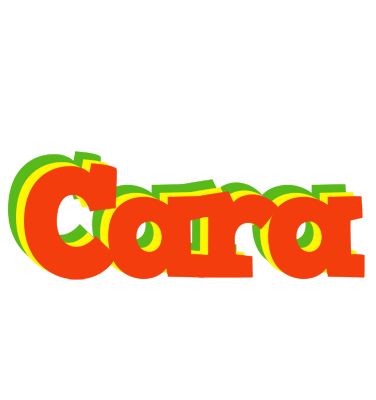 Cara bbq logo