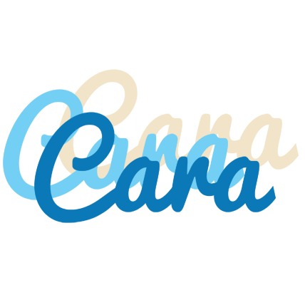 Cara breeze logo