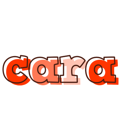Cara paint logo