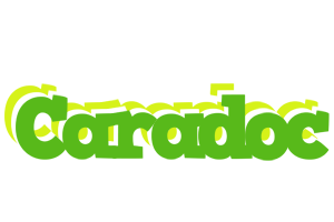 Caradoc picnic logo