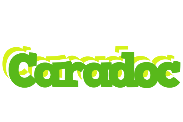 Caradoc picnic logo