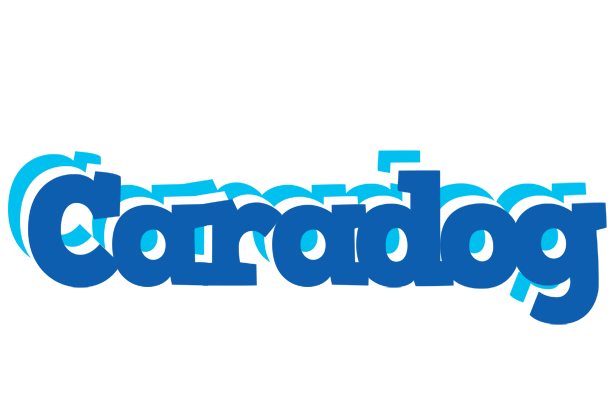 Caradog business logo