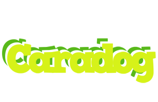 Caradog citrus logo