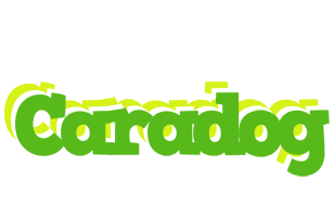 Caradog picnic logo