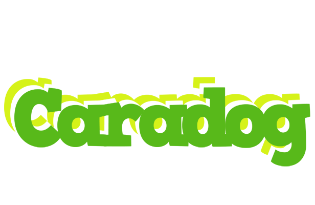 Caradog picnic logo