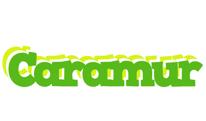 Caramur picnic logo