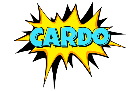 Cardo indycar logo