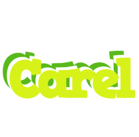 Carel citrus logo