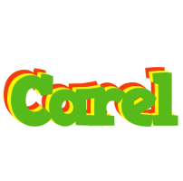 Carel crocodile logo