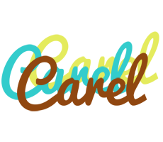 Carel cupcake logo