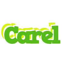 Carel picnic logo