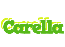 Carella picnic logo