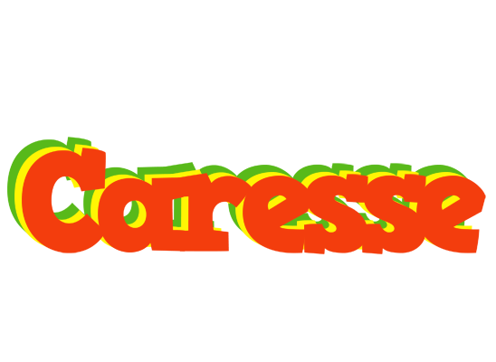 Caresse bbq logo