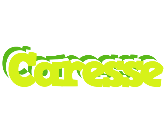 Caresse citrus logo