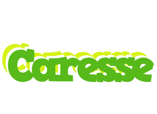 Caresse picnic logo