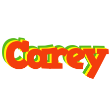 Carey bbq logo