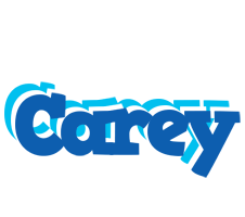 Carey business logo
