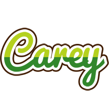 Carey golfing logo