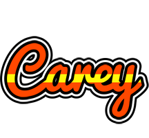 Carey madrid logo