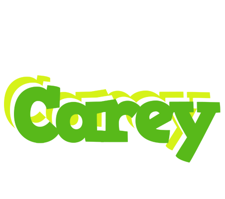 Carey picnic logo