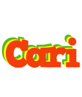 Cari bbq logo