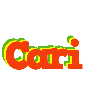 Cari bbq logo
