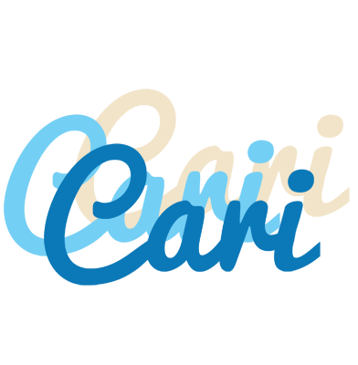 Cari breeze logo