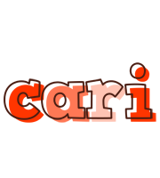 Cari paint logo