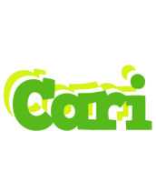 Cari picnic logo