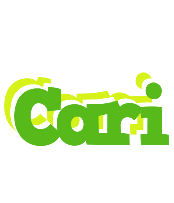 Cari picnic logo