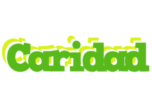 Caridad picnic logo