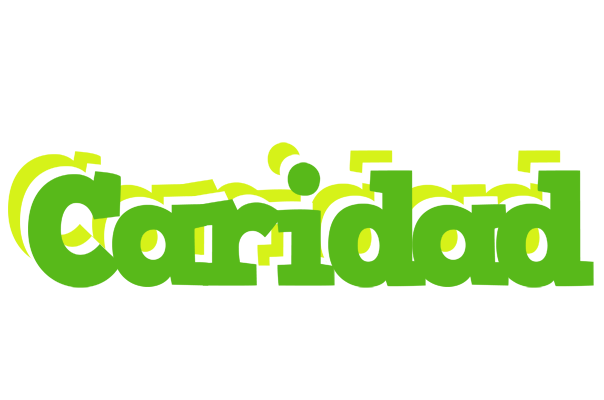 Caridad picnic logo