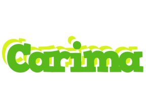 Carima picnic logo