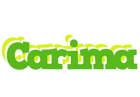 Carima picnic logo
