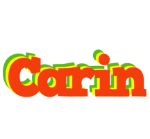 Carin bbq logo