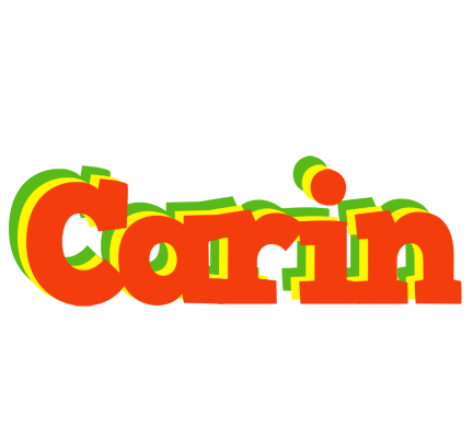 Carin bbq logo