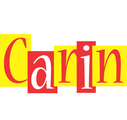 Carin errors logo