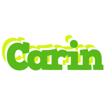 Carin picnic logo