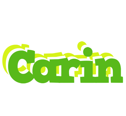 Carin picnic logo