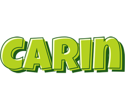 Carin summer logo