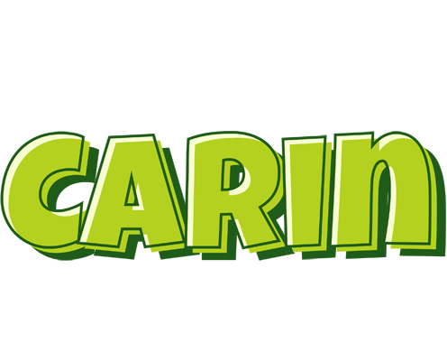 Carin summer logo