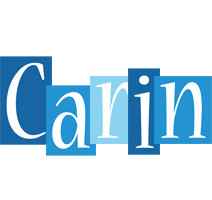 Carin winter logo