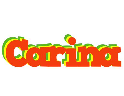 Carina bbq logo