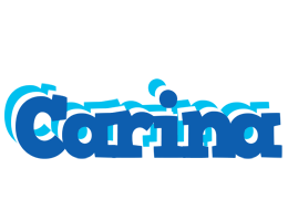 Carina business logo