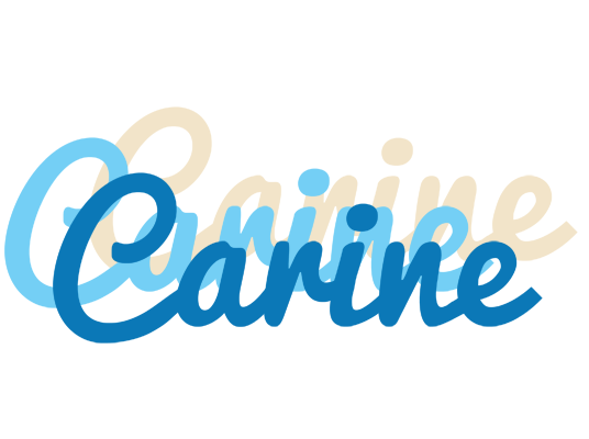 Carine breeze logo