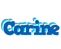 Carine business logo