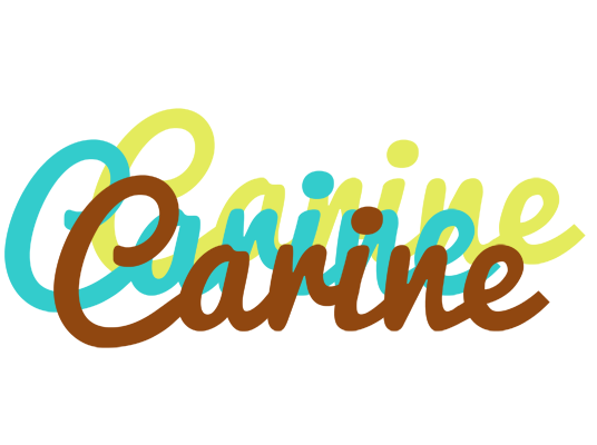 Carine cupcake logo