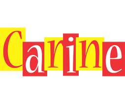 Carine errors logo